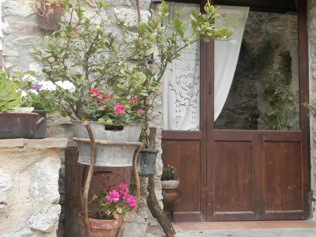 Residenza Di Paese Castello Del Poggio Hotel Ferentillo Exterior photo